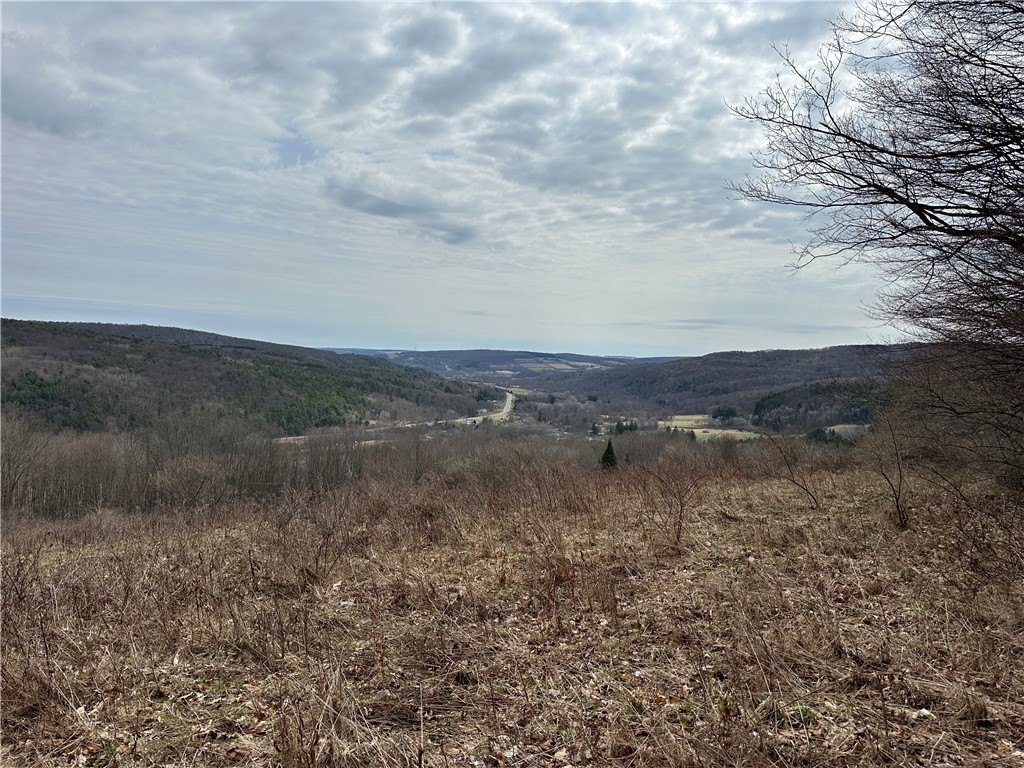 1972 Monegan Road Burns, NY 14822 - Photo 39 of 50