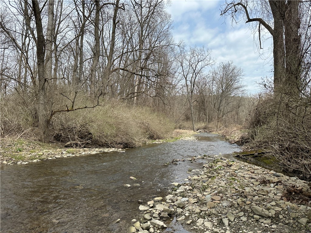 1972 Monegan Road Burns, NY 14822 - Photo 40 of 50