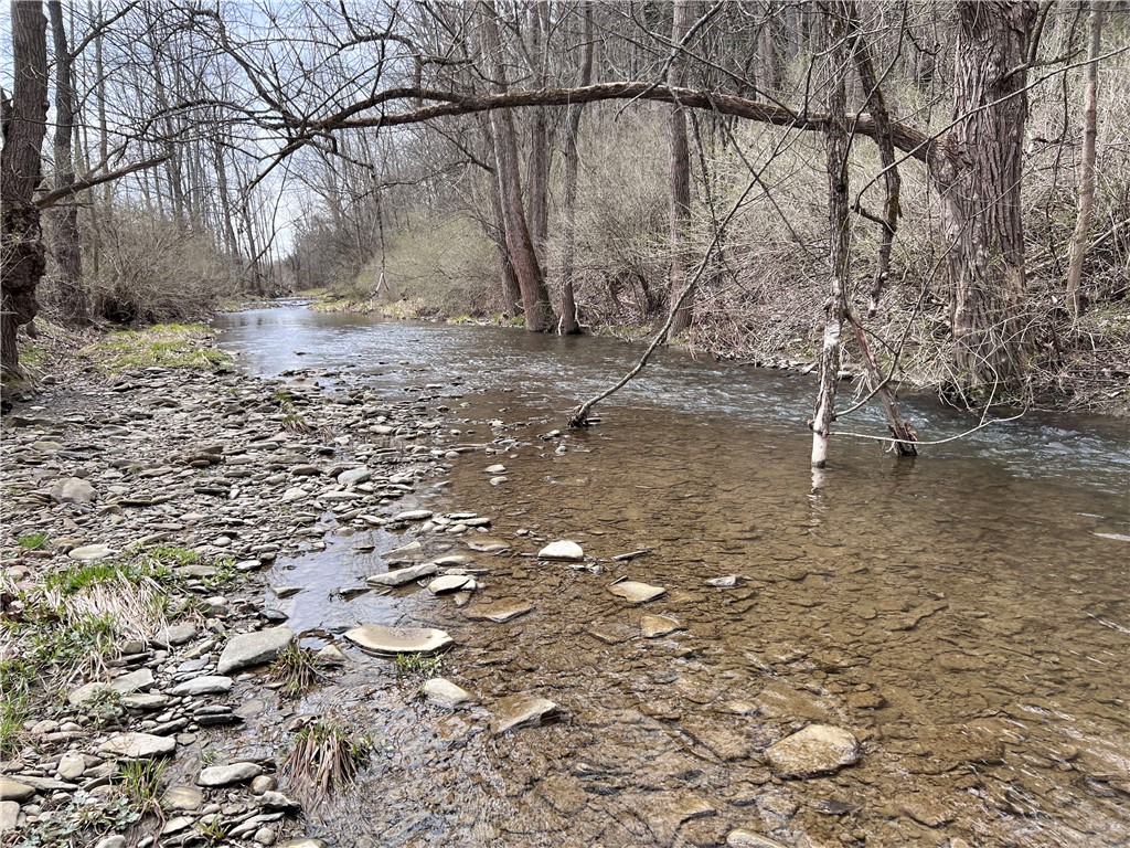 1972 Monegan Road Burns, NY 14822 - Photo 41 of 50