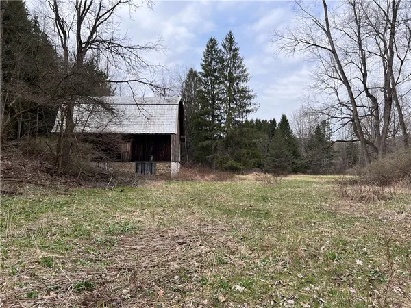 $1,100,000 | 1972 Monegan Road, Burns, NY 14822