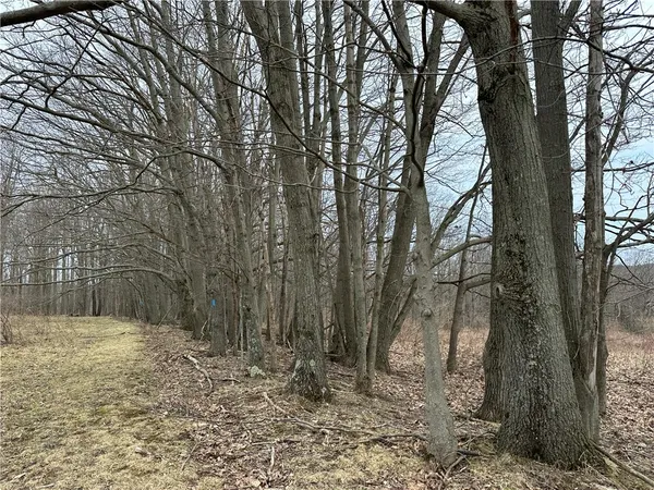 $1,100,000 | 1972 Monegan Road, Burns, NY 14822