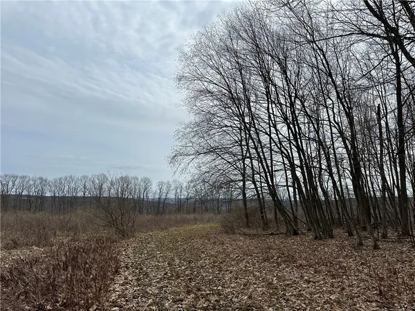 $1,100,000 | 1972 Monegan Road, Burns, NY 14822