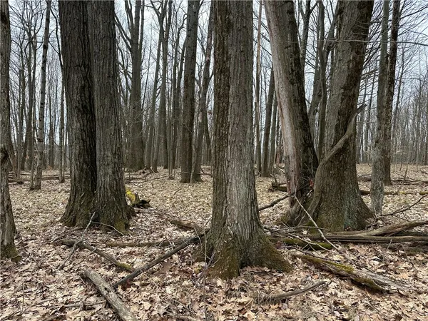 $1,100,000 | 1972 Monegan Road, Burns, NY 14822