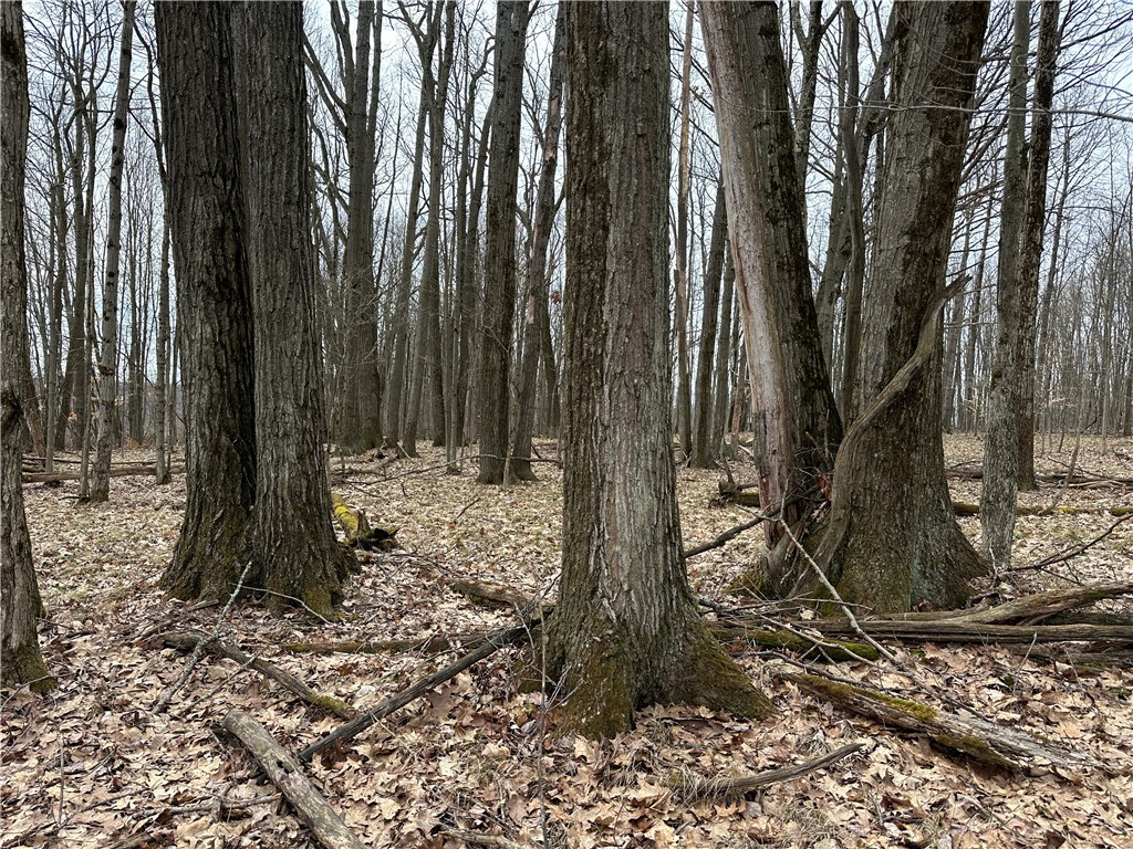 1972 Monegan Road Burns, NY 14822 - Photo 46 of 50