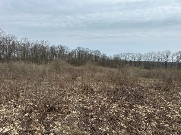 $1,100,000 | 1972 Monegan Road, Burns, NY 14822