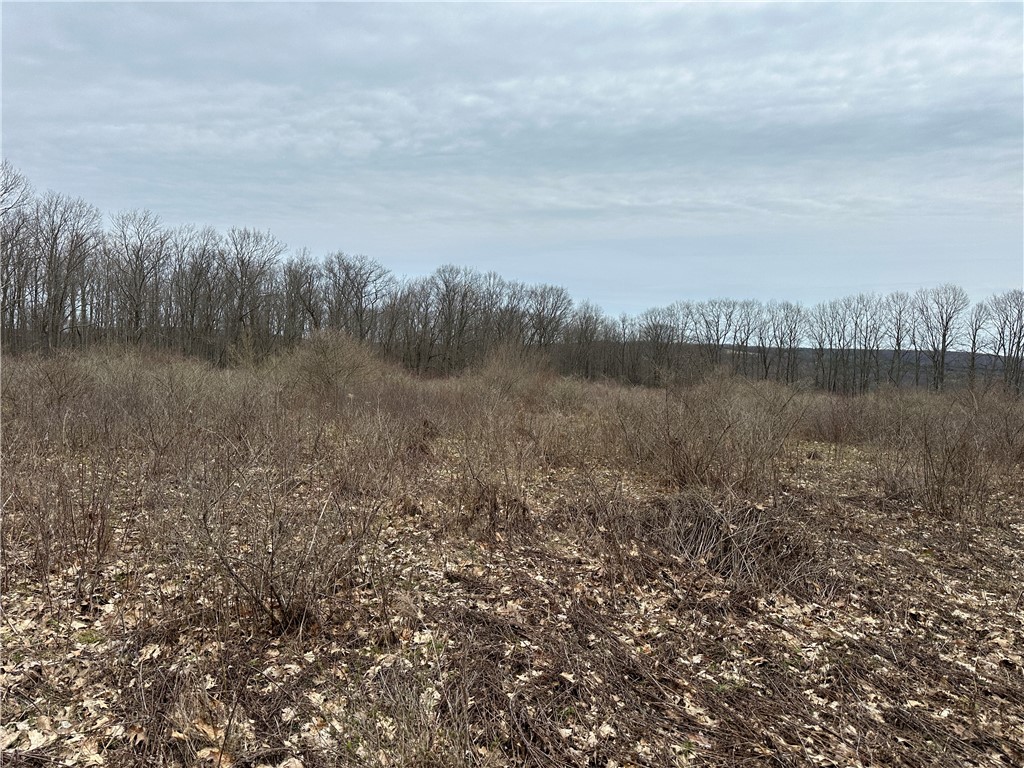 1972 Monegan Road Burns, NY 14822 - Photo 47 of 50