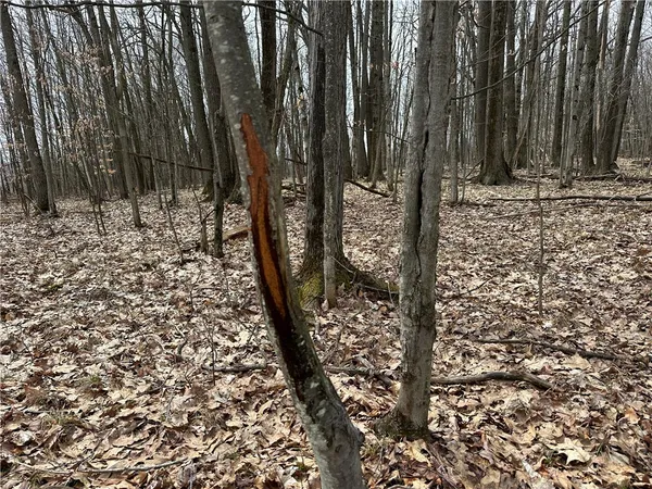 $1,100,000 | 1972 Monegan Road, Burns, NY 14822