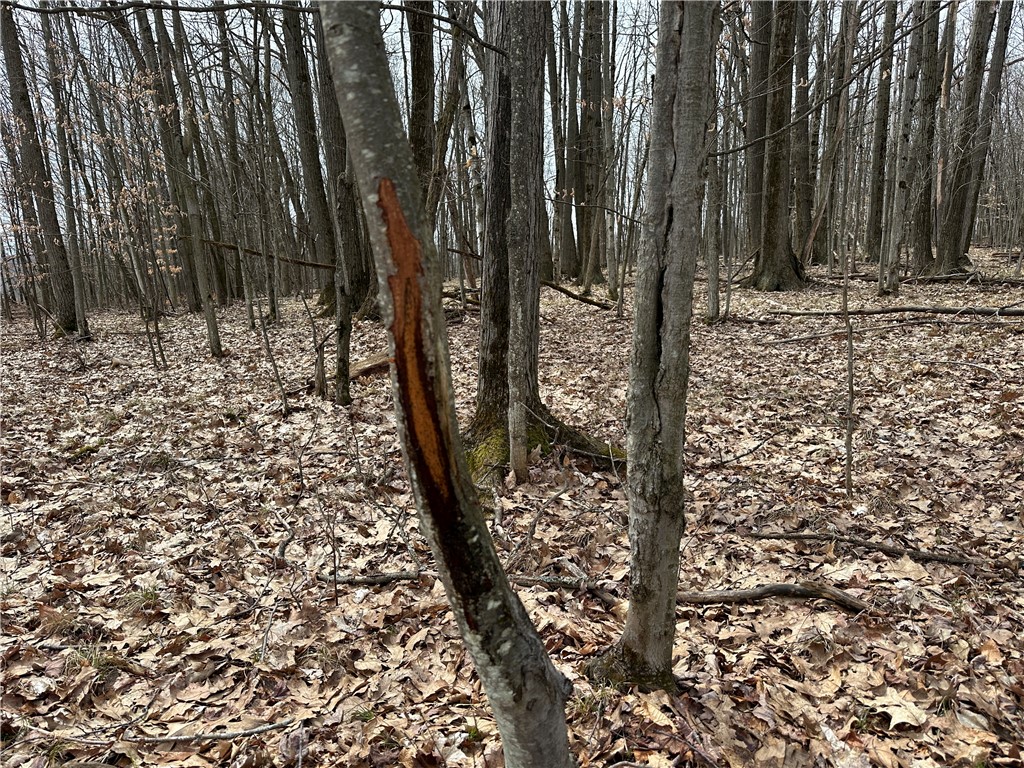 1972 Monegan Road Burns, NY 14822 - Photo 48 of 50