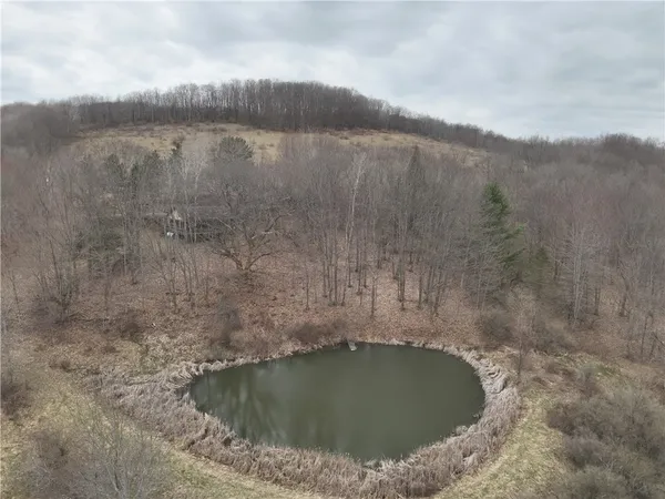 $1,100,000 | 1972 Monegan Road, Burns, NY 14822