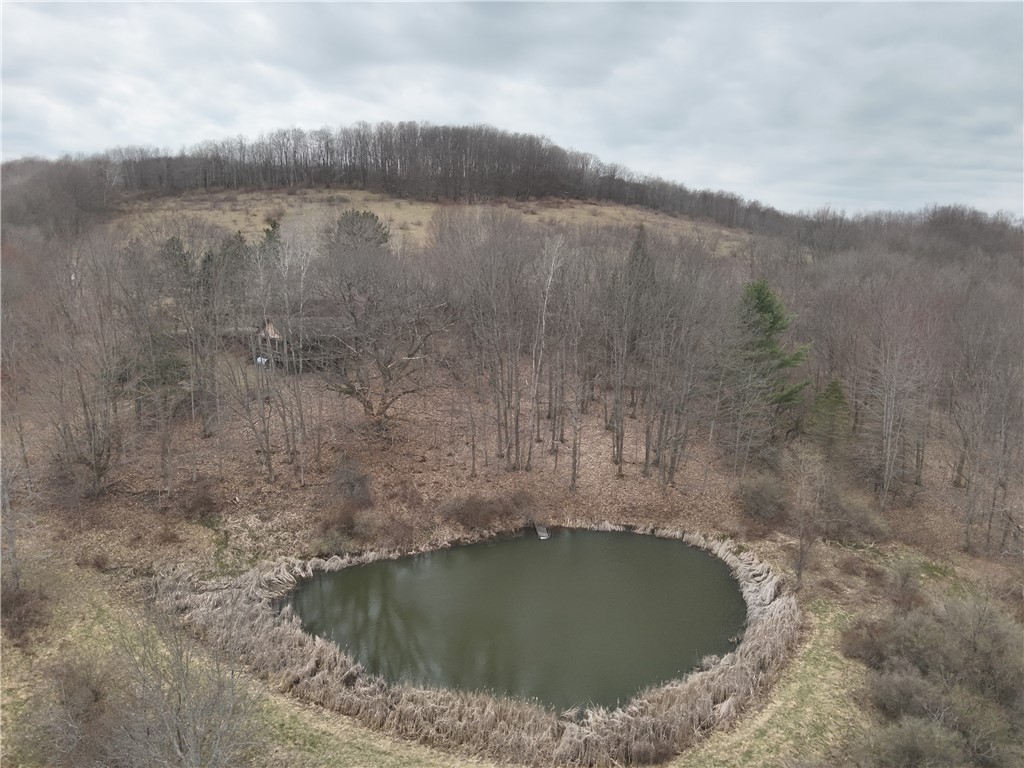 1972 Monegan Road Burns, NY 14822 - Photo 49 of 50