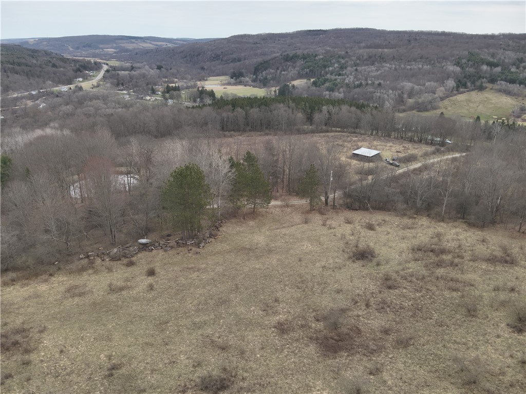 1972 Monegan Road Burns, NY 14822 - Photo 50 of 50