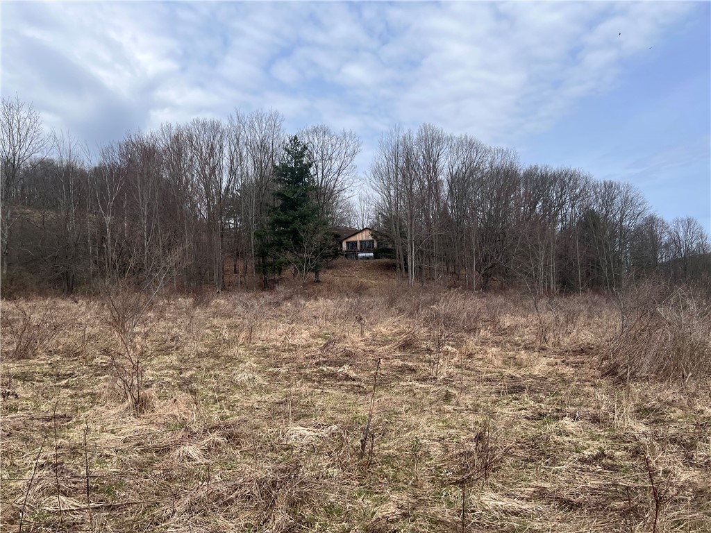 1972 Monegan Road Burns, NY 14822 - Photo 7 of 50