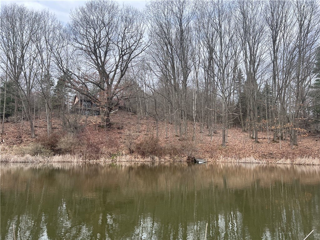 1972 Monegan Road Burns, NY 14822 - Photo 8 of 50