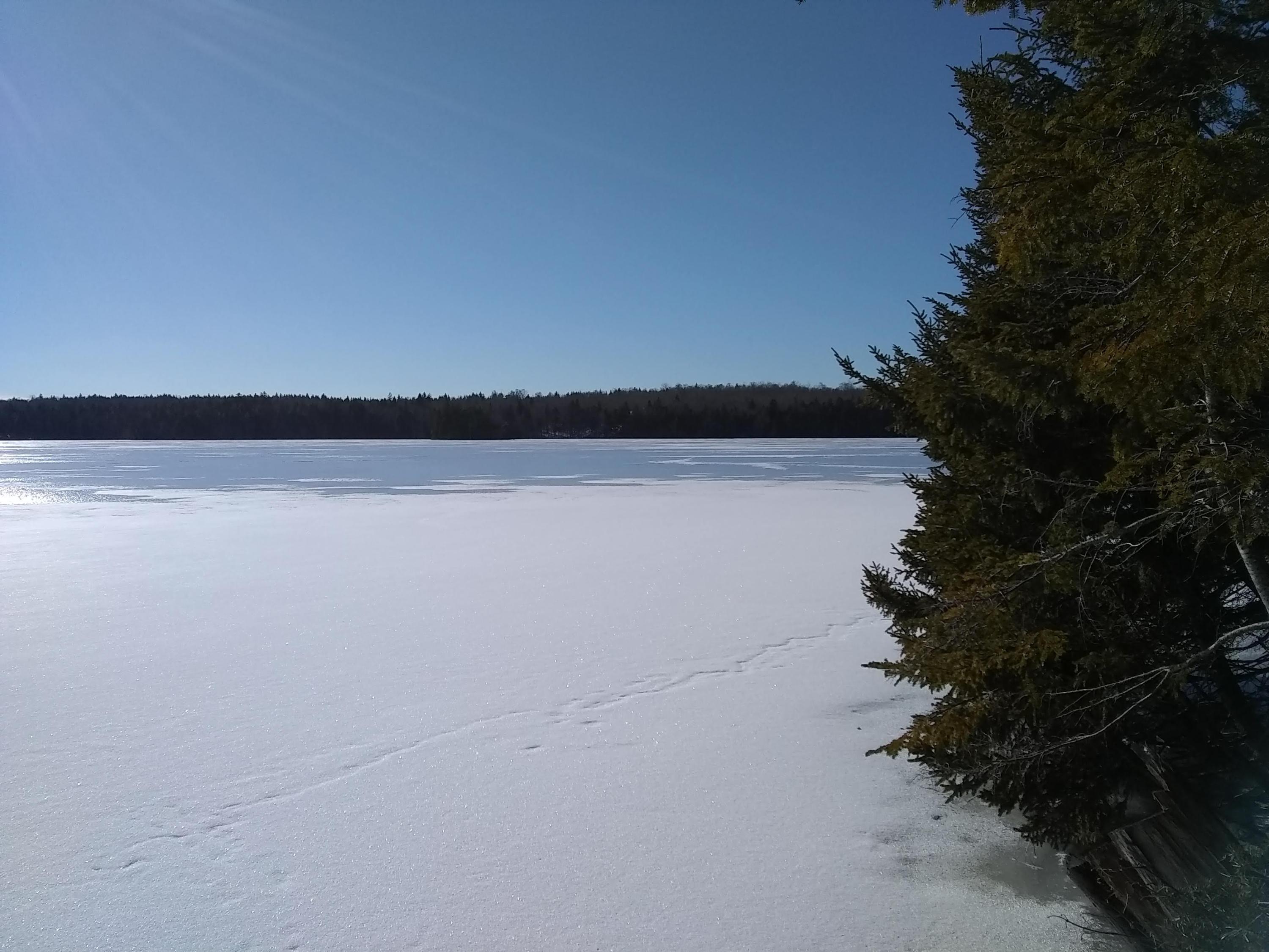Lot 35.2 Stagecoach Road Dennysville, ME 04628 - Photo 2 of 8 IMG_20190114_122249491