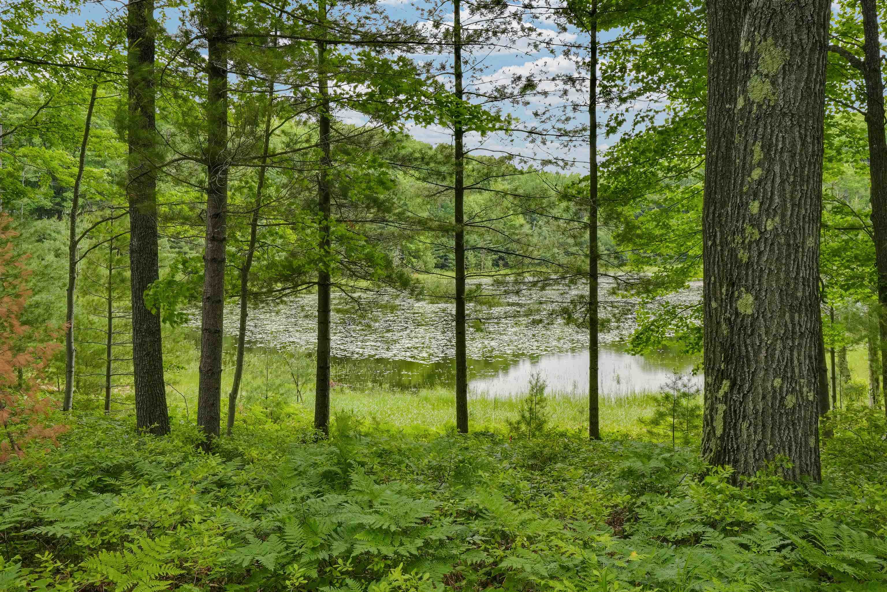 East Long Lake Road Cadillac, MI 49601 - Photo 7 of 23