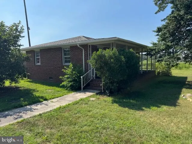 a backyard of a house with plants and large tree