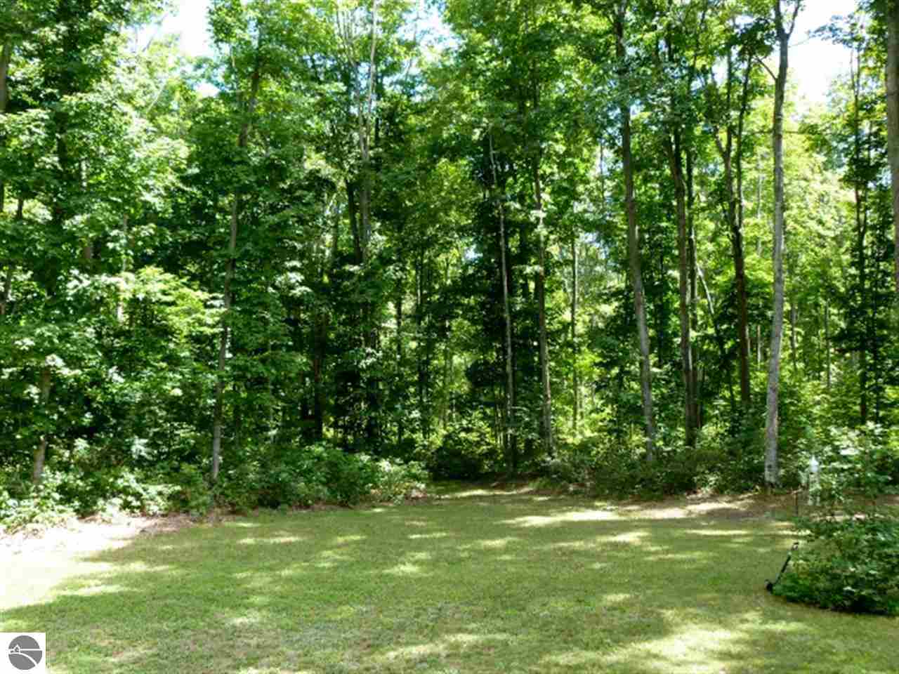 355 Harwood Road Beulah, MI 49617 - Photo 34 of 39 1774951-33.JPG