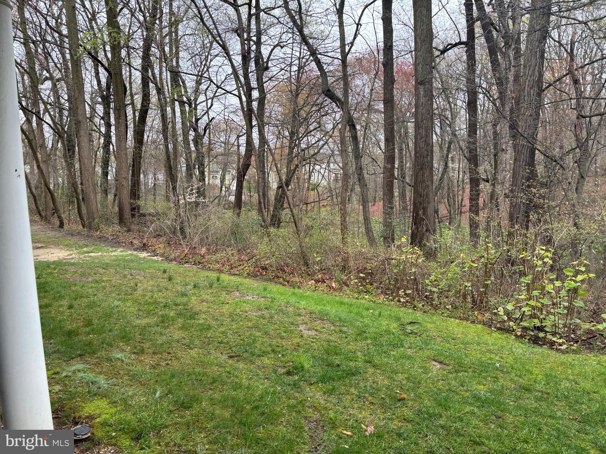 127 Natalie Road Riverside, NJ 08075 - Photo 18 of 18 a view of backyard with green space