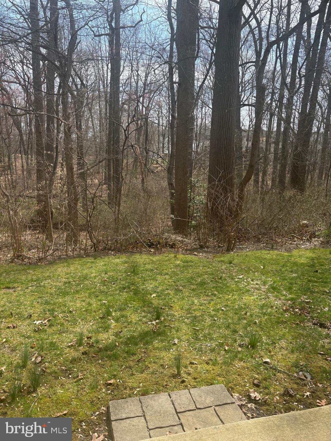 127 Natalie Road Riverside, NJ 08075 - Photo 4 of 18 a view of outdoor space with deck and yard