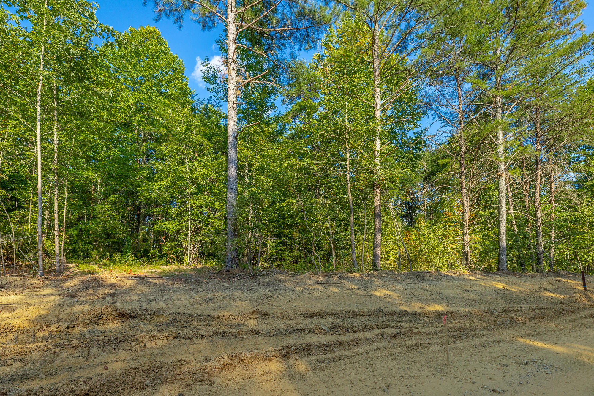 0 High Ground Road, Unit LOT 2218 Guild, TN 37340 - Photo 24 of 115 0 High Ground Road - Lot 2218 HD-59