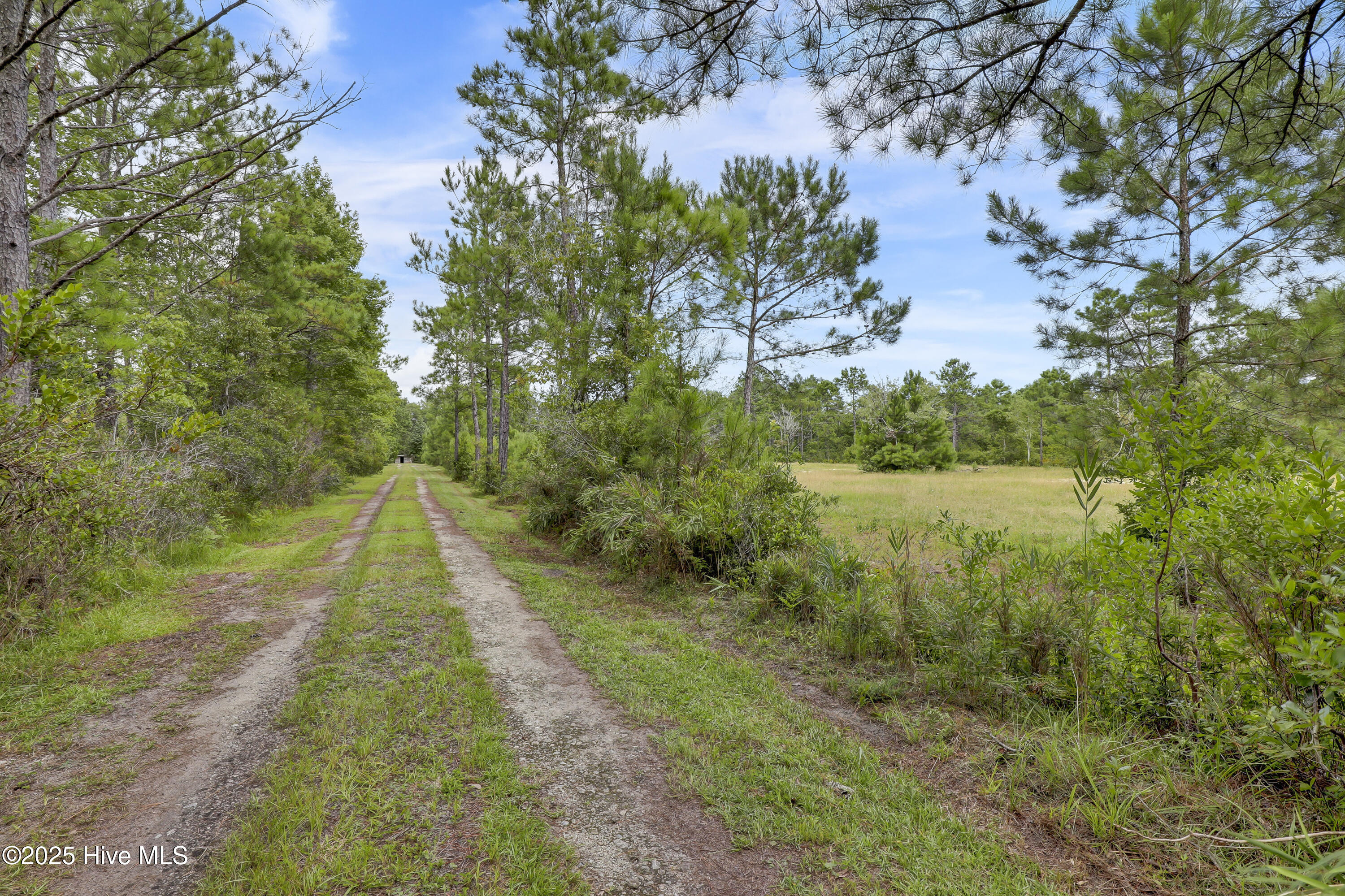 338 Lea Crest Lane Hampstead, NC 28443 - Photo 25 of 34 023_6g8a5040_584