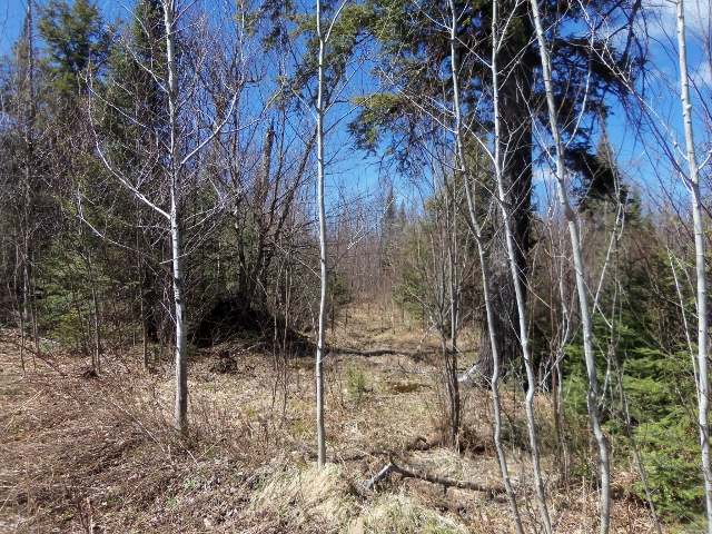 4287 West Dump Road Hurley, WI 54534 - Photo 16 of 17 Gallery Image 16