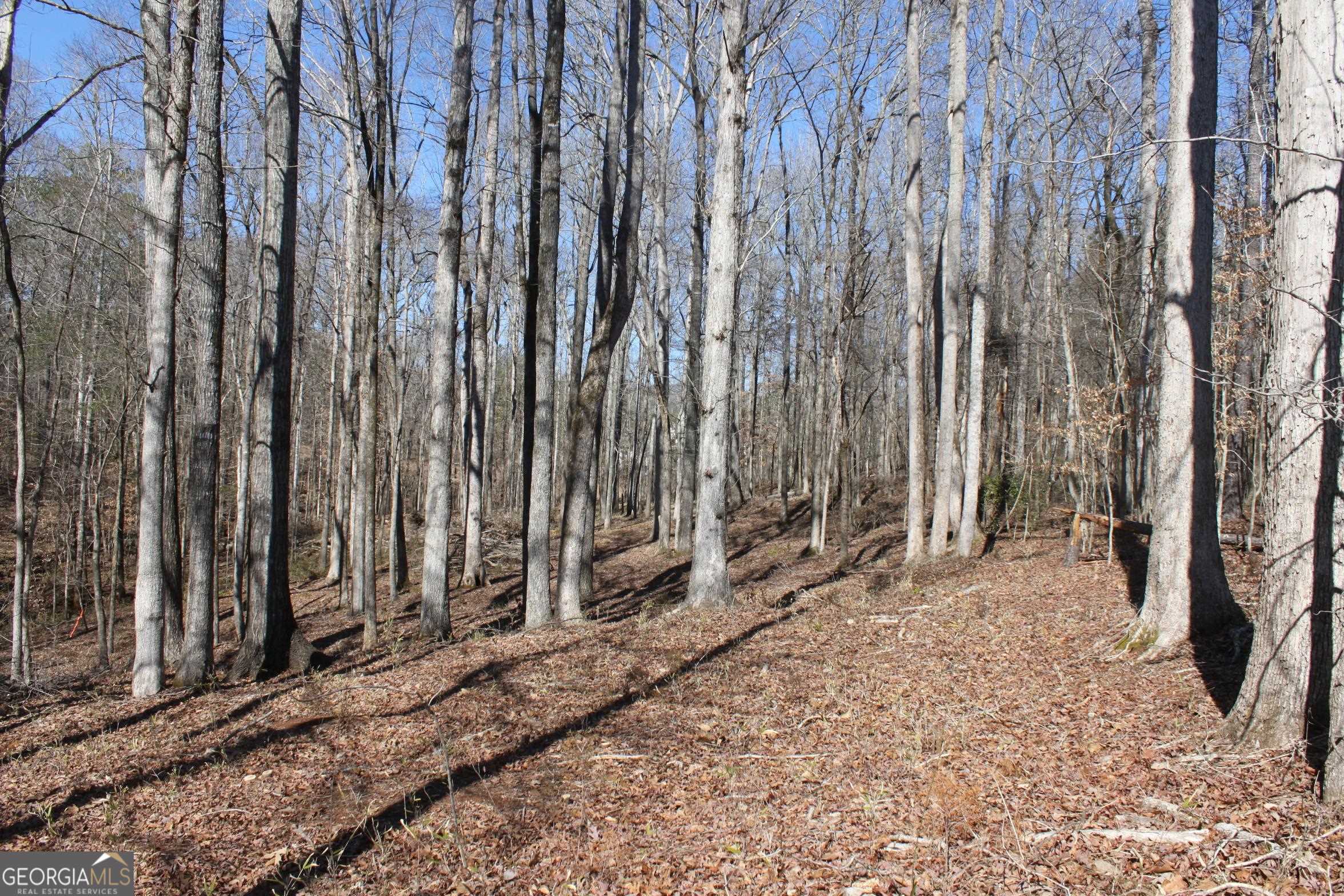 0 Lower Simmons Road Macon, GA 31220 - Photo 1 of 1 a row of trees with wooden fence