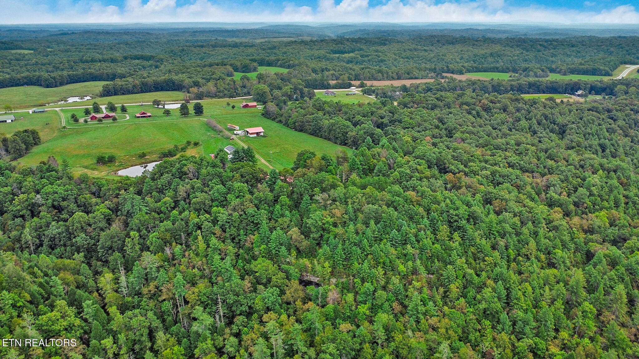 4676 Rugby Pike Allardt, TN 38504 - Photo 12 of 50 a view of a lush green outdoor space with a lake view
