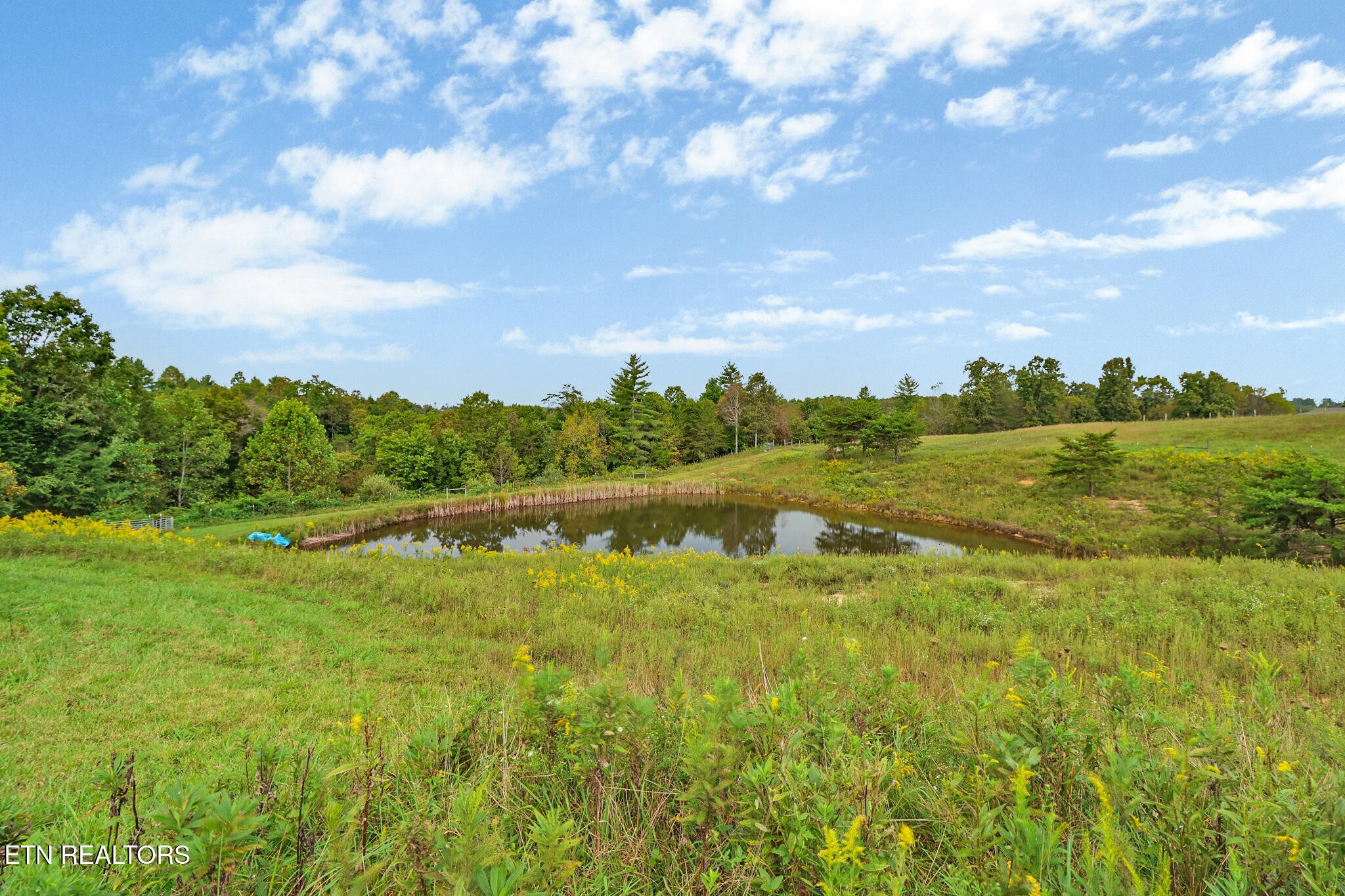 4676 Rugby Pike Allardt, TN 38504 - Photo 15 of 50