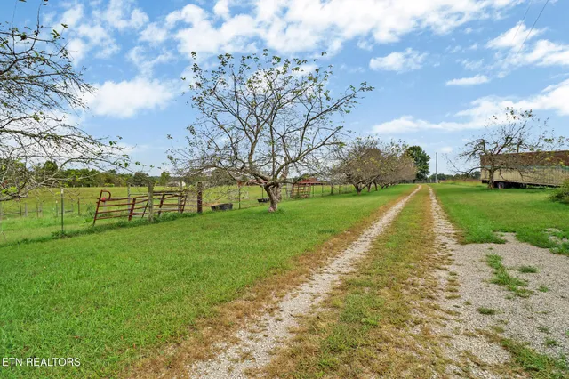 a living room with furniture a ceiling fan and a rug