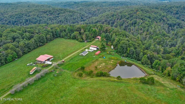 a view of a lush green forest