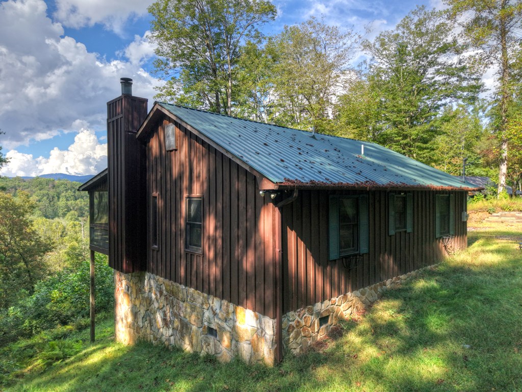 421 Salem Valley Road Mineral Bluff, GA 30559 - Photo 33 of 33 a backyard of a house with lots of green space