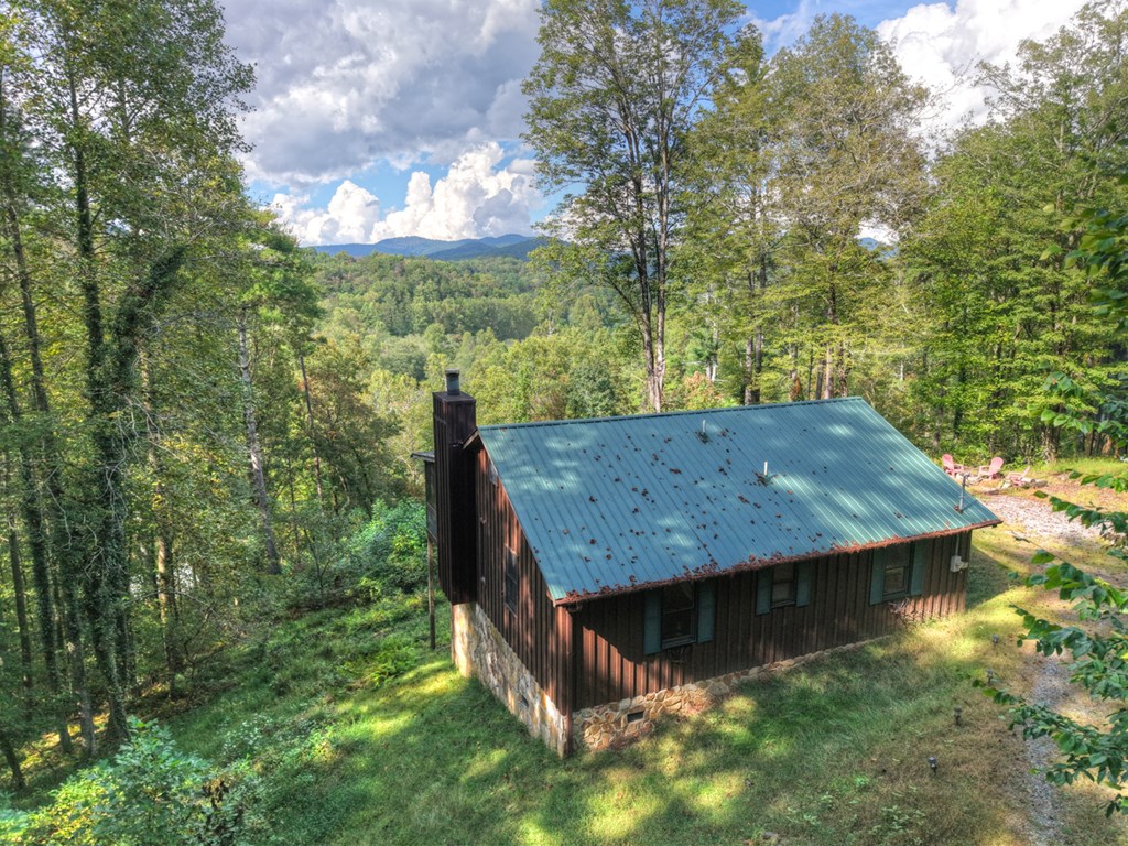 421 Salem Valley Road Mineral Bluff, GA 30559 - Photo 5 of 33 a view of a backyard with swimming pool