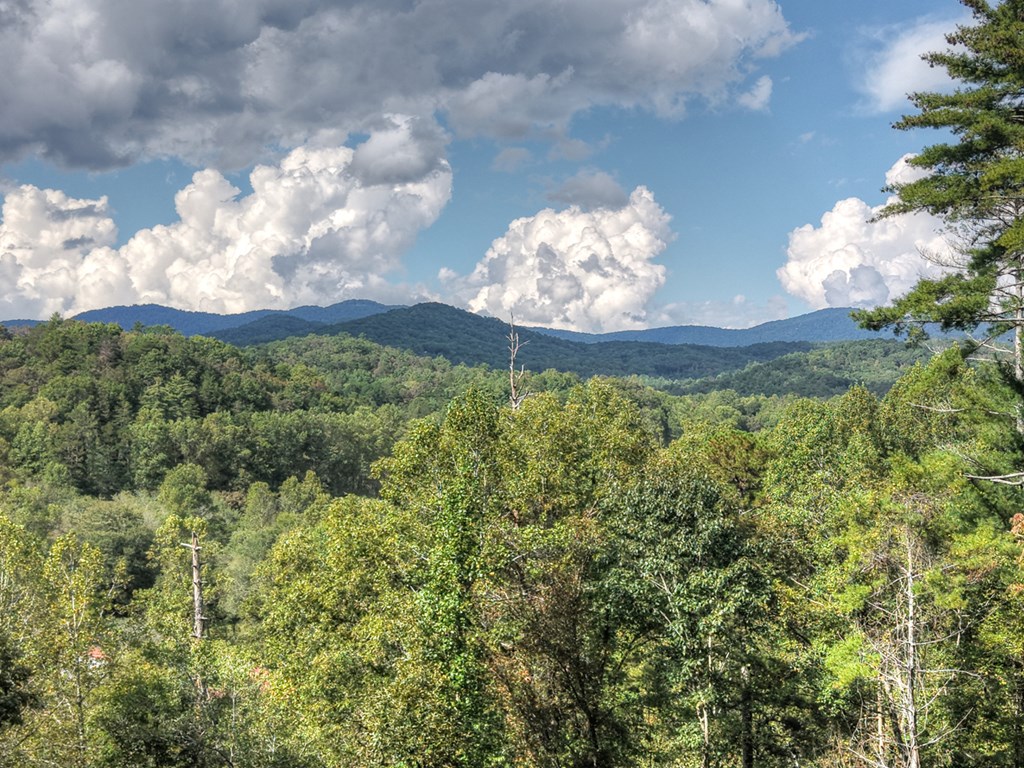 421 Salem Valley Road Mineral Bluff, GA 30559 - Photo 7 of 33 a view of a flower in a garden