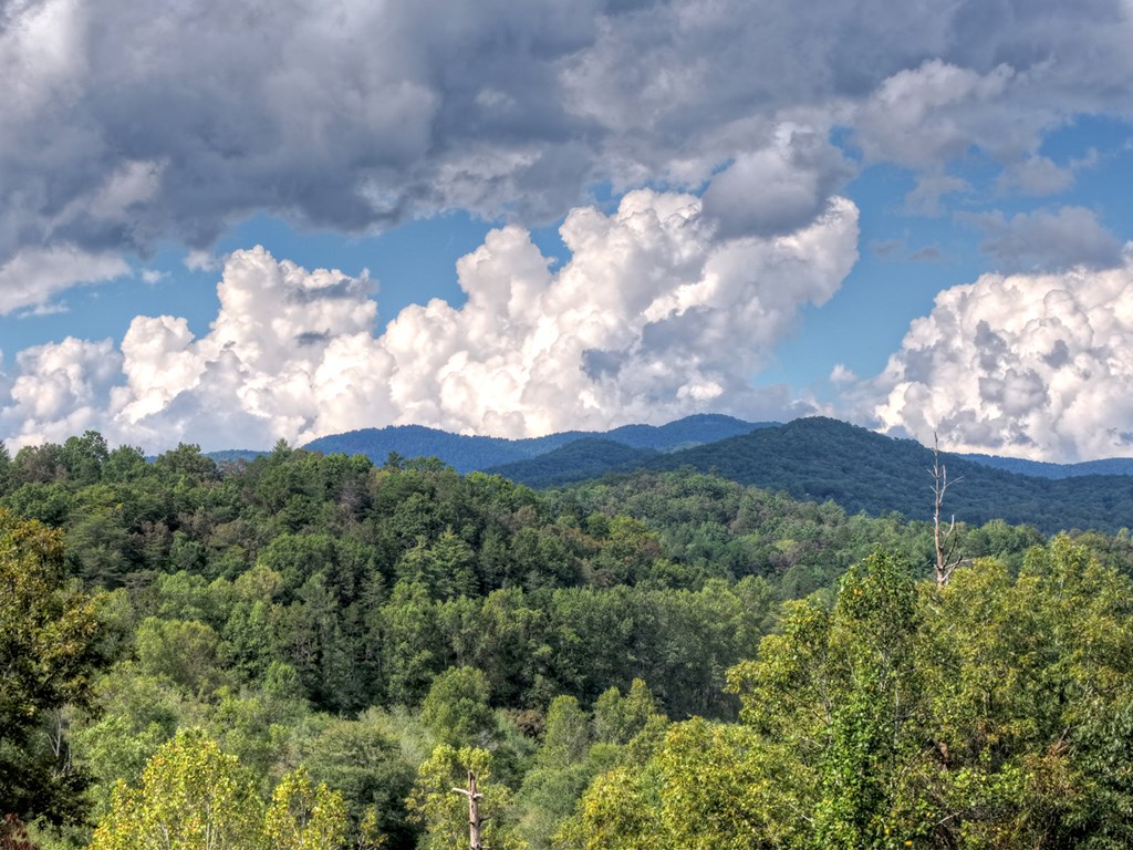 421 Salem Valley Road Mineral Bluff, GA 30559 - Photo 8 of 33 a view of a bunch of trees in the background