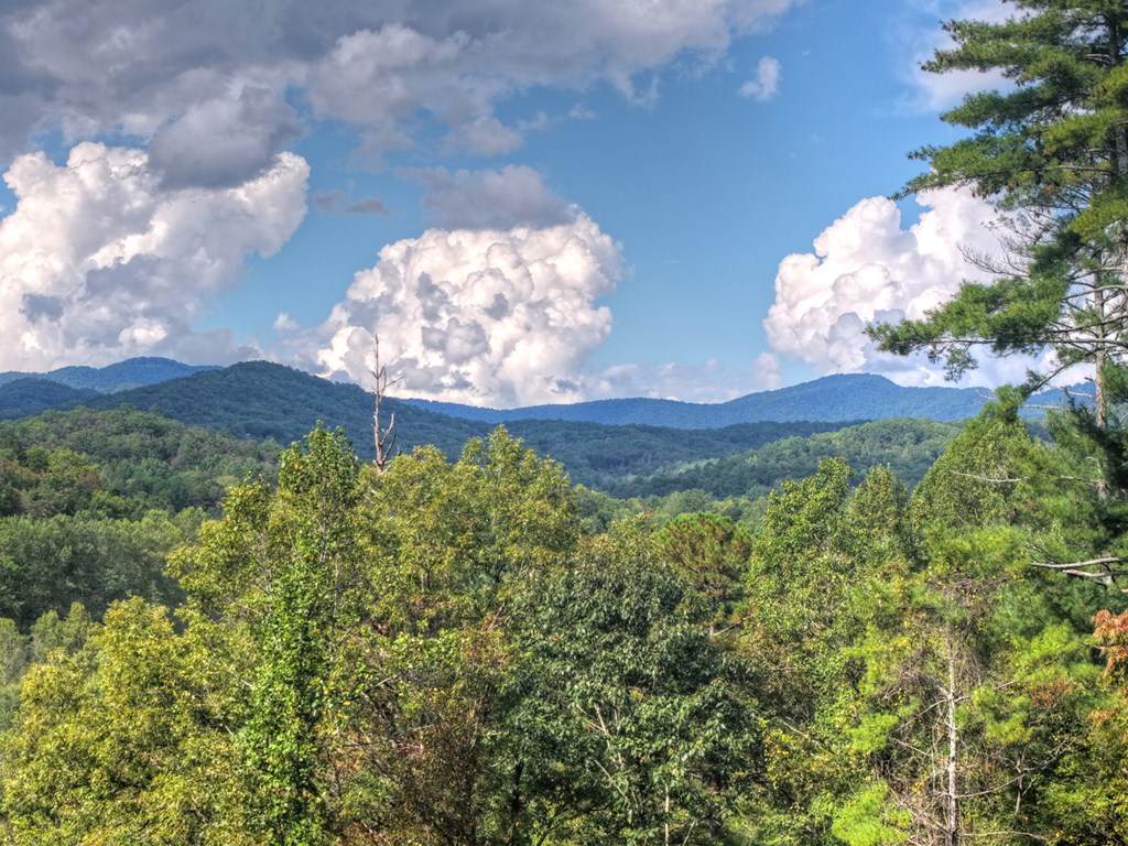 421 Salem Valley Road Mineral Bluff, GA 30559 - Photo 9 of 33 a view of a flower in a yard
