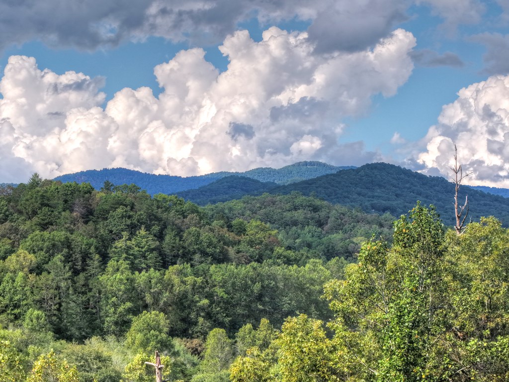 421 Salem Valley Road Mineral Bluff, GA 30559 - Photo 10 of 33 a view of a bunch of trees and flowers