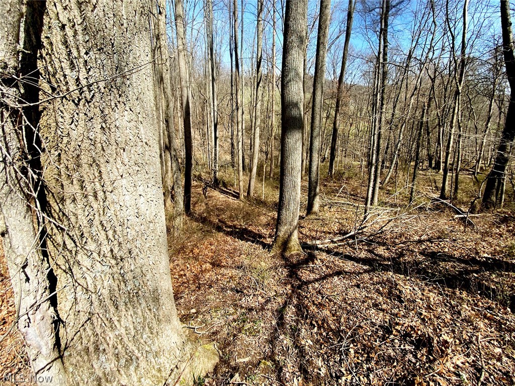 0 Township Road Coshocton, OH 43812 - Photo 8 of 24