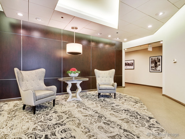 720 West Randolph Street, Unit 502 Chicago, IL 60661 - Photo 19 of 22 a living room with furniture and a rug