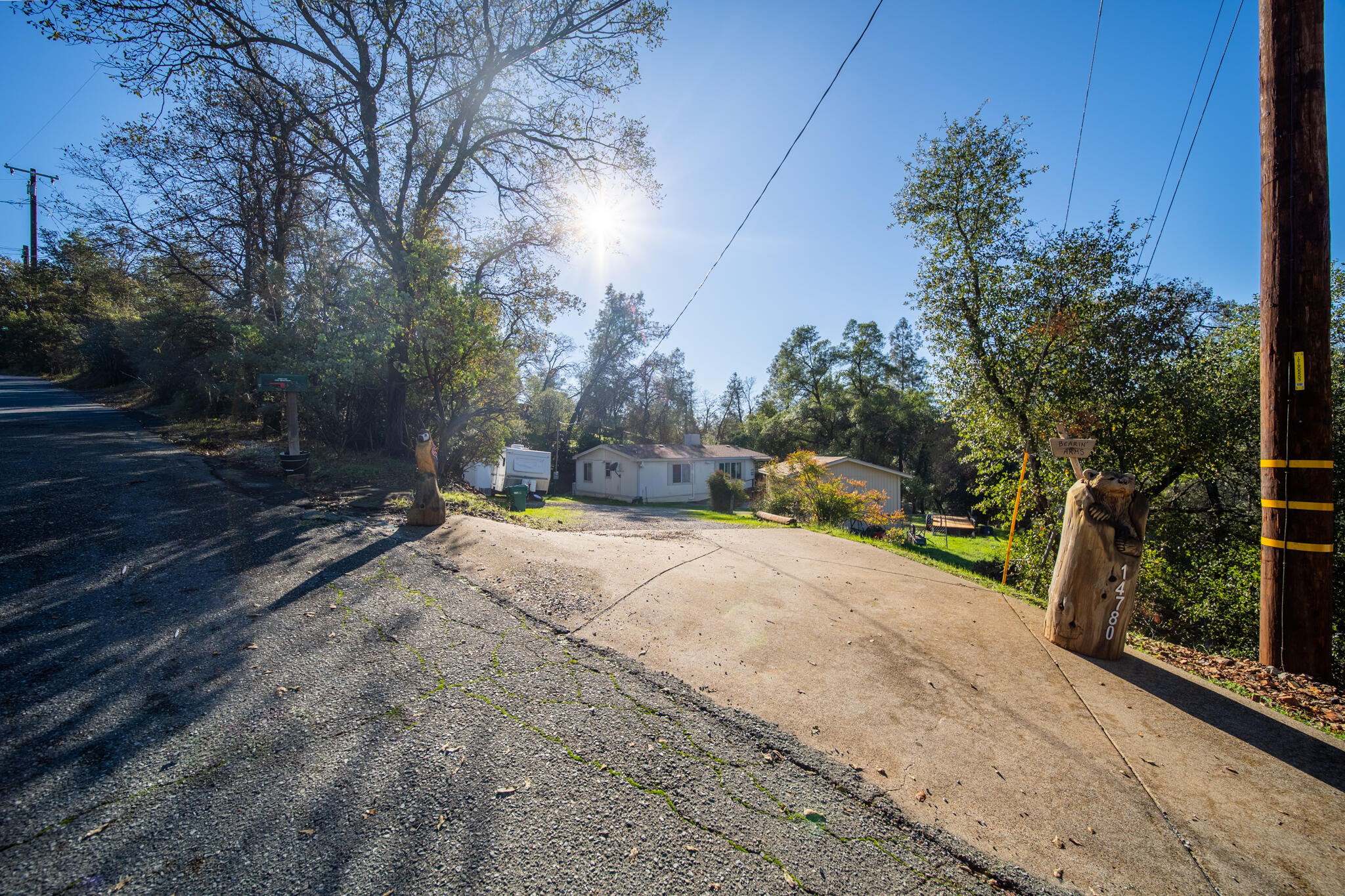 Undisclosed Address Redding, CA 96003 - Photo 29 of 39 a view of a yard with plants and trees