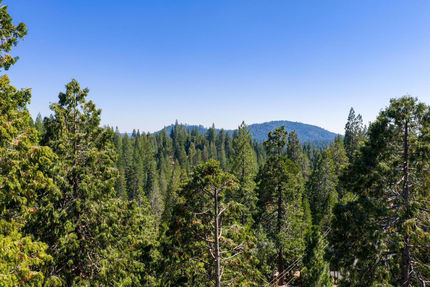 24033 Pine Cone Road Mi Wuk Village, CA 95346 - Photo 79 of 80