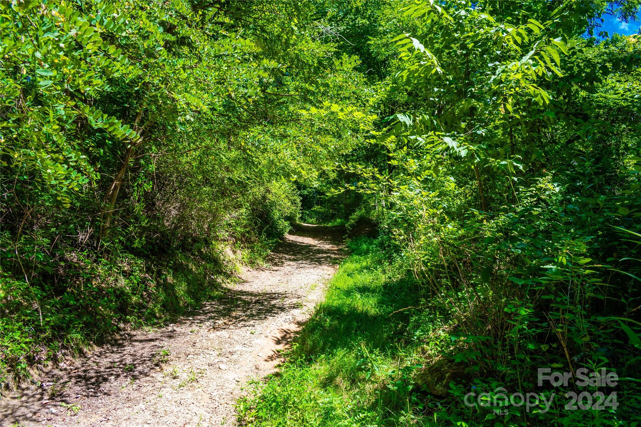 9486 Meadow Fork Road Hot Springs, NC 28743 - Photo 23 of 44 Gallery Image 23