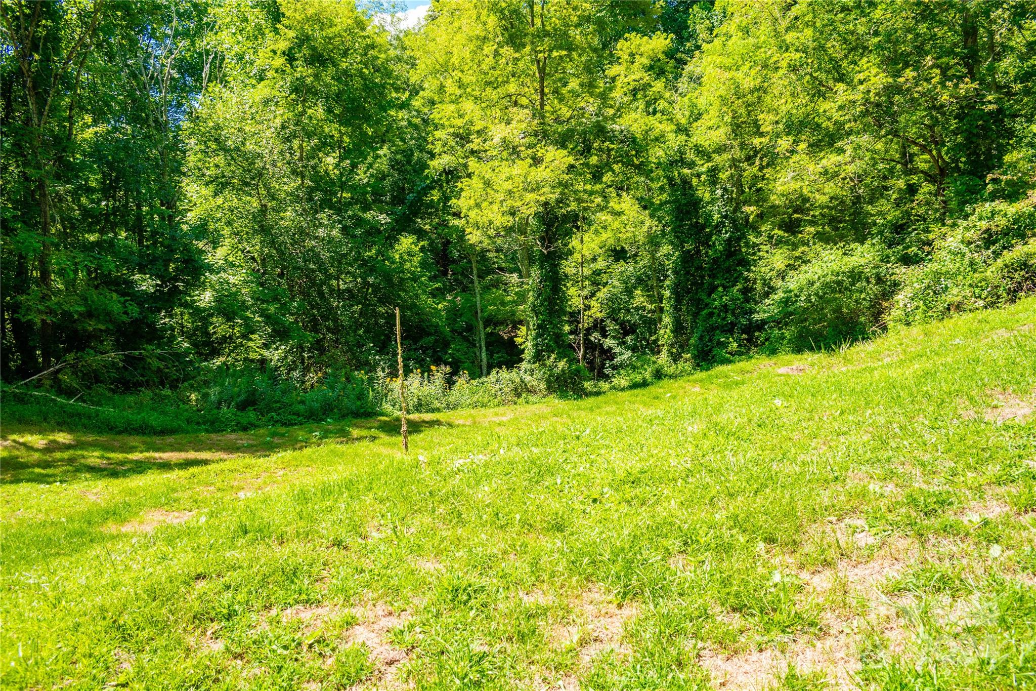 9486 Meadow Fork Road Hot Springs, NC 28743 - Photo 25 of 44 Gallery Image 25