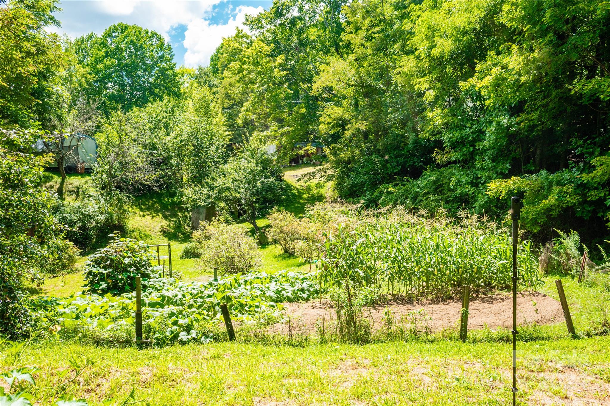 9486 Meadow Fork Road Hot Springs, NC 28743 - Photo 37 of 44 Gallery Image 37