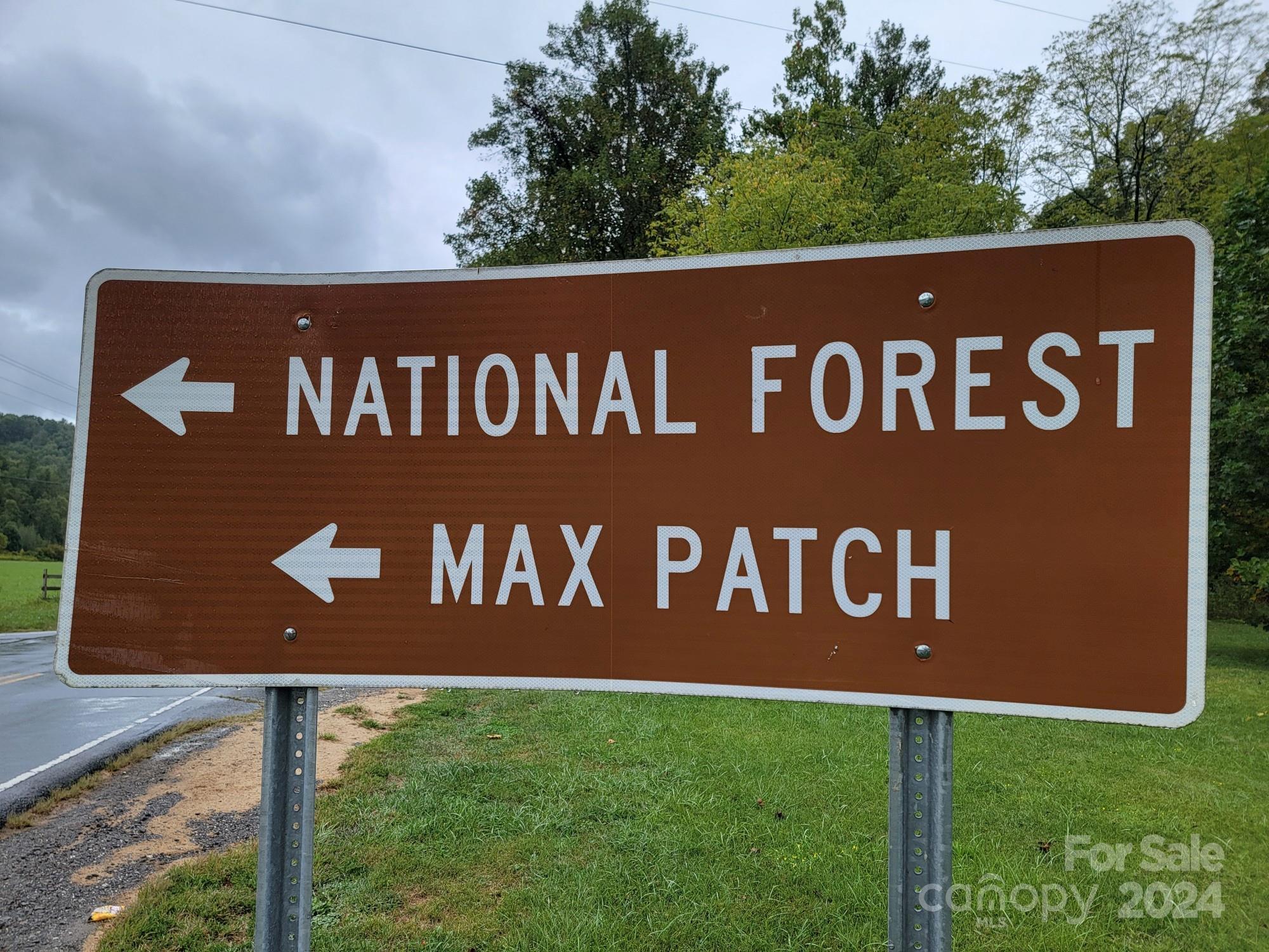 9486 Meadow Fork Road Hot Springs, NC 28743 - Photo 44 of 44 Gallery Image 44