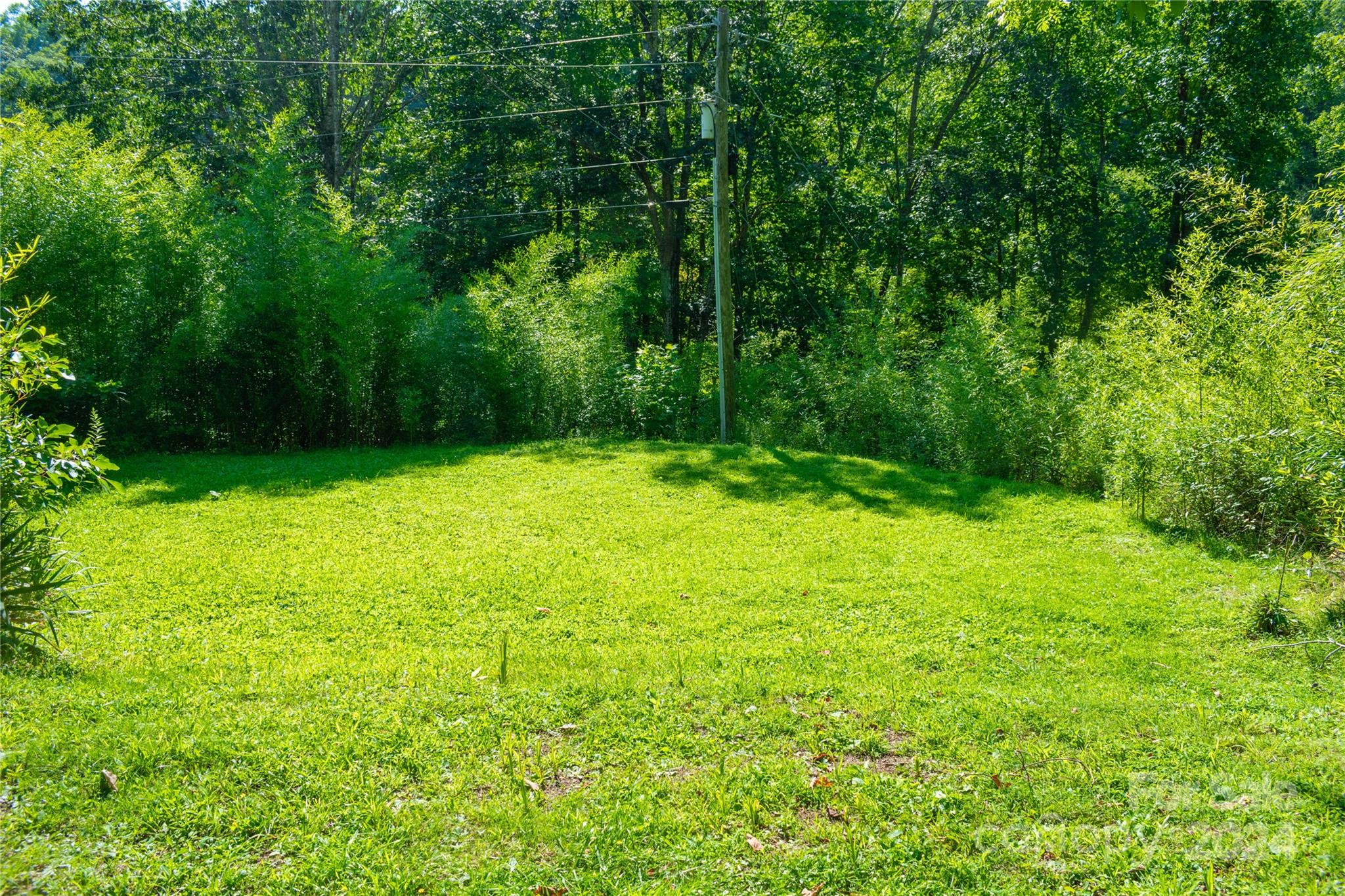 9486 Meadow Fork Road Hot Springs, NC 28743 - Photo 8 of 44 Gallery Image 8