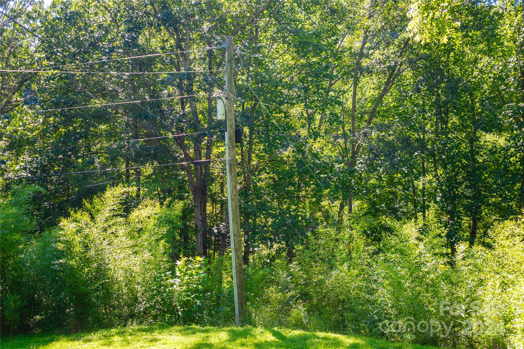 9486 Meadow Fork Road Hot Springs, NC 28743 - Photo 9 of 44 Gallery Image 9
