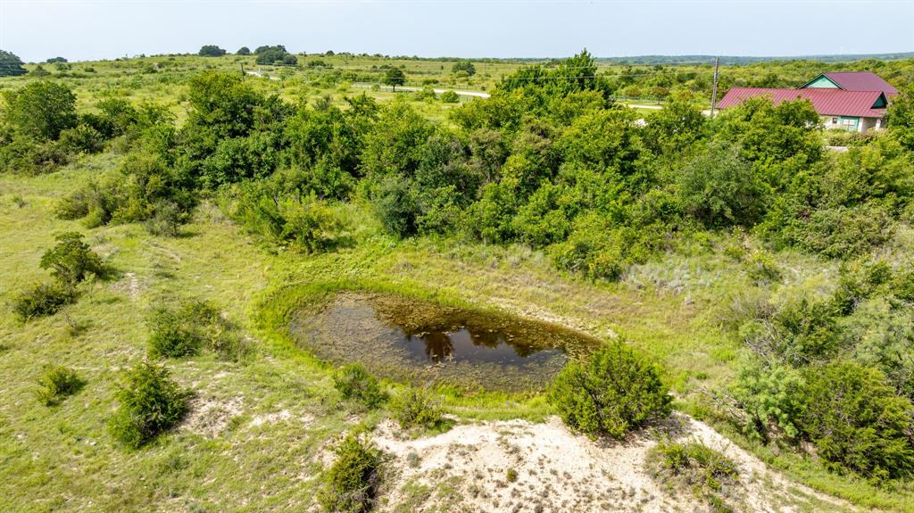 501 County Road 103, Unit 1 Comanche, TX 76442 - Photo 18 of 38 a view of a garden