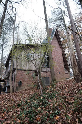 a view of backyard of house