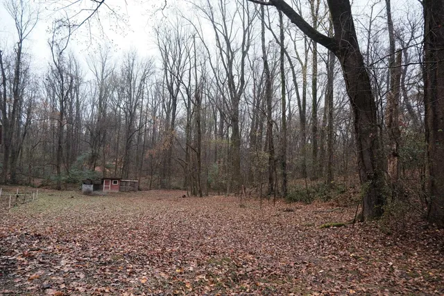 a backyard of a house with lots of trees